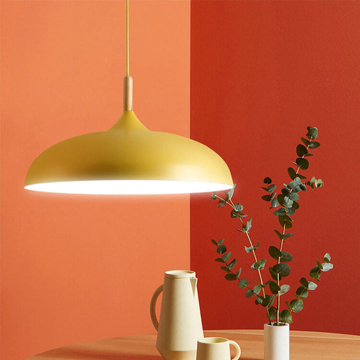 Modern Dome Wooden Pendant Light