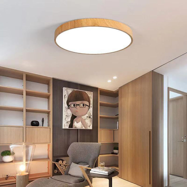 Nordic Round Iron LED Flush Mount Ceiling Light
