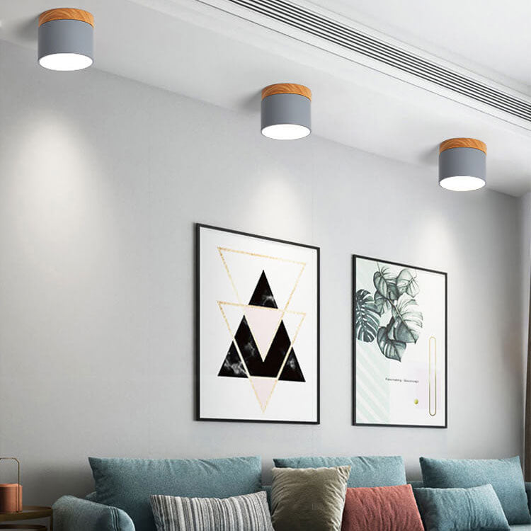 Nordic LED Flush Mount Ceiling Light