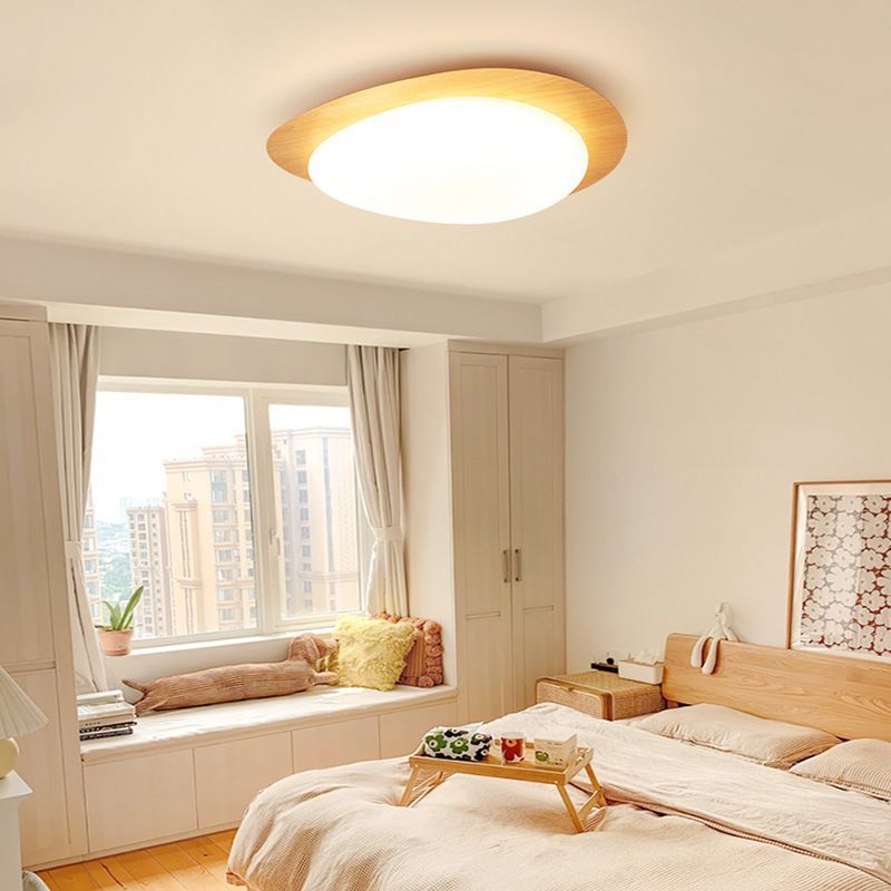 Nordic Acrylic LED Flush Mount Ceiling Light