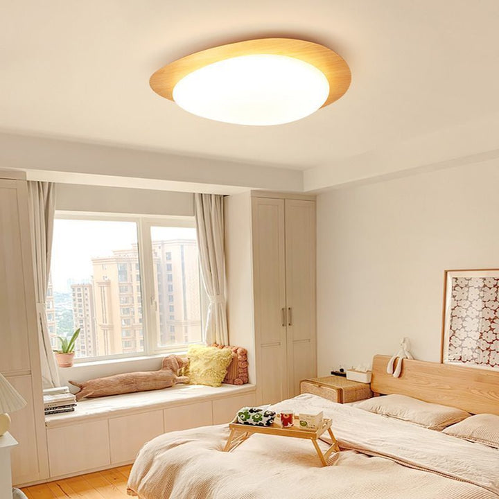 Nordic Acrylic LED Flush Mount Ceiling Light