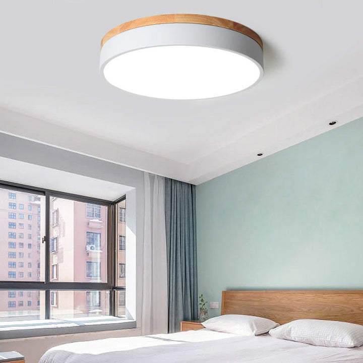 Iron Minimalist Round Acrylic LED Flush Mount Ceiling Light