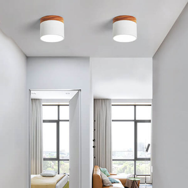 Nordic LED Flush Mount Ceiling Light