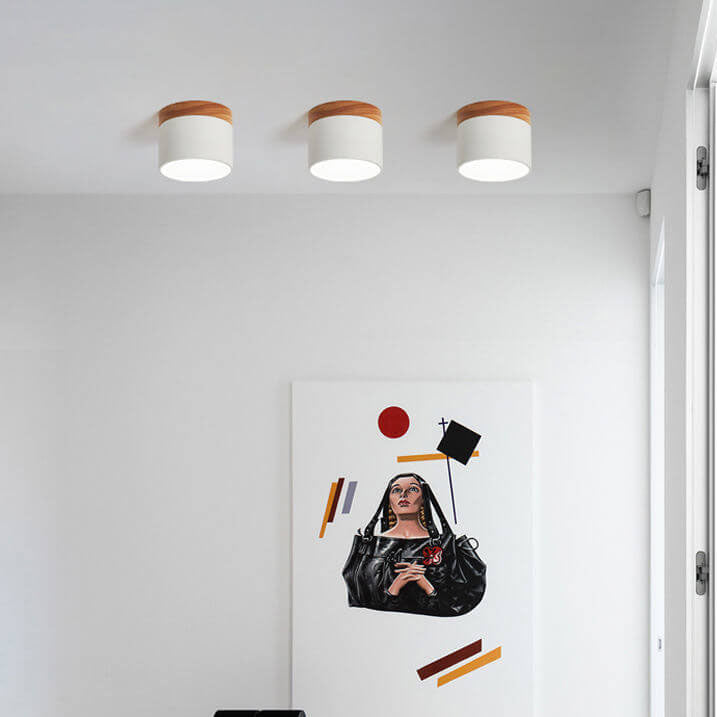 Nordic LED Flush Mount Ceiling Light
