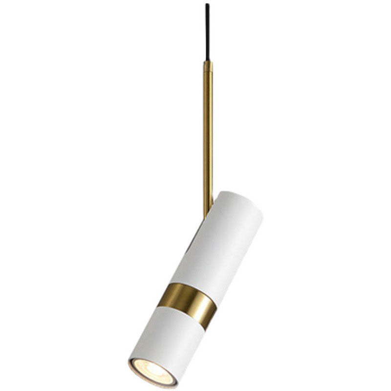 Contemporary Metal Pendant Light