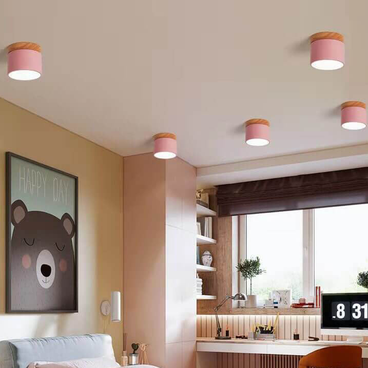 Nordic LED Flush Mount Ceiling Light