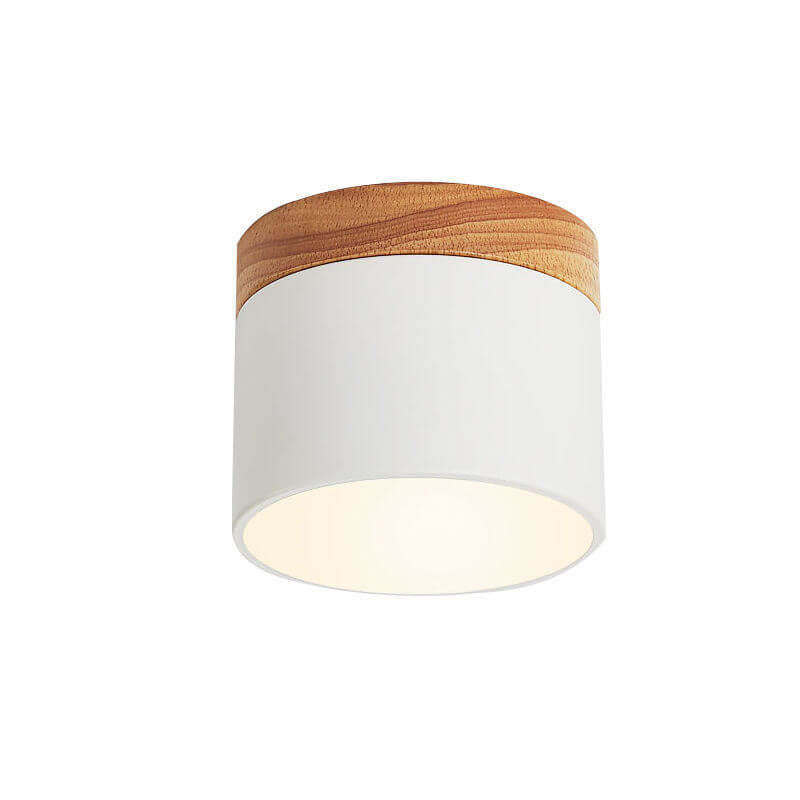 Nordic LED Flush Mount Ceiling Light