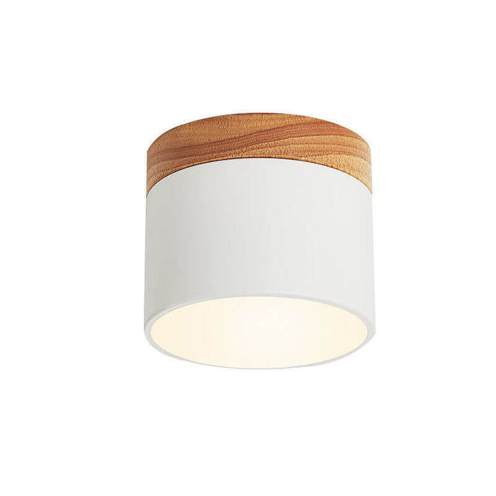 Nordic LED Flush Mount Ceiling Light