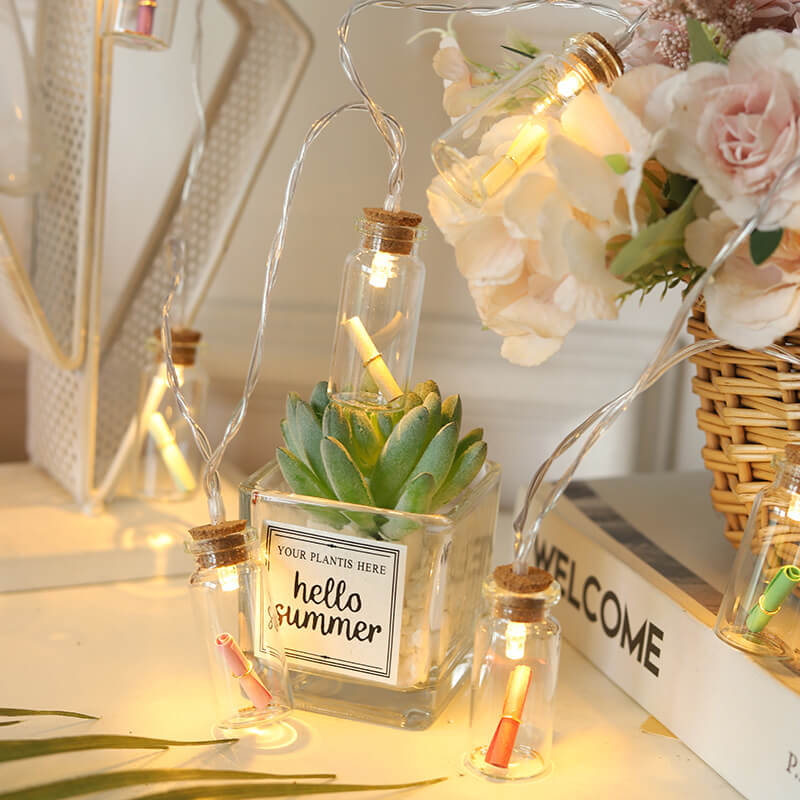 Wishing Bottle Tree Snow String Lights