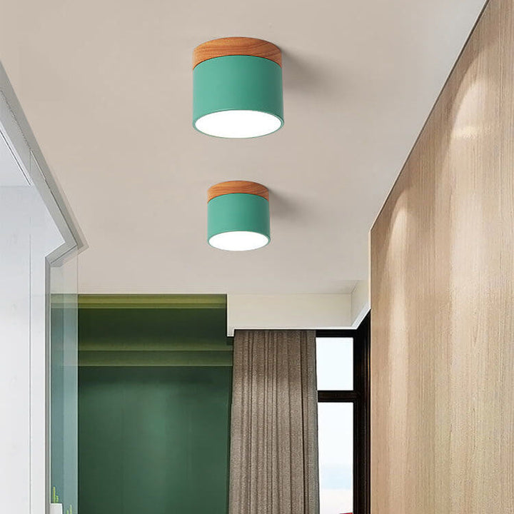 Nordic LED Flush Mount Ceiling Light