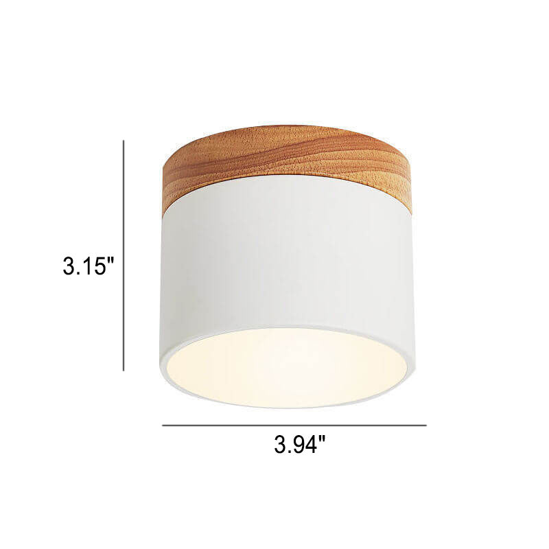 Nordic LED Flush Mount Ceiling Light
