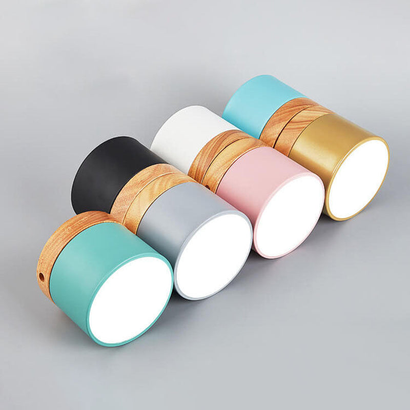 Nordic LED Flush Mount Ceiling Light