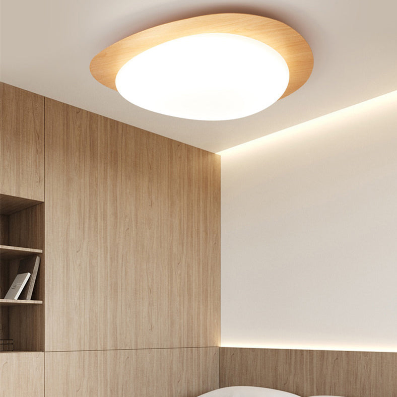 Nordic Acrylic LED Flush Mount Ceiling Light