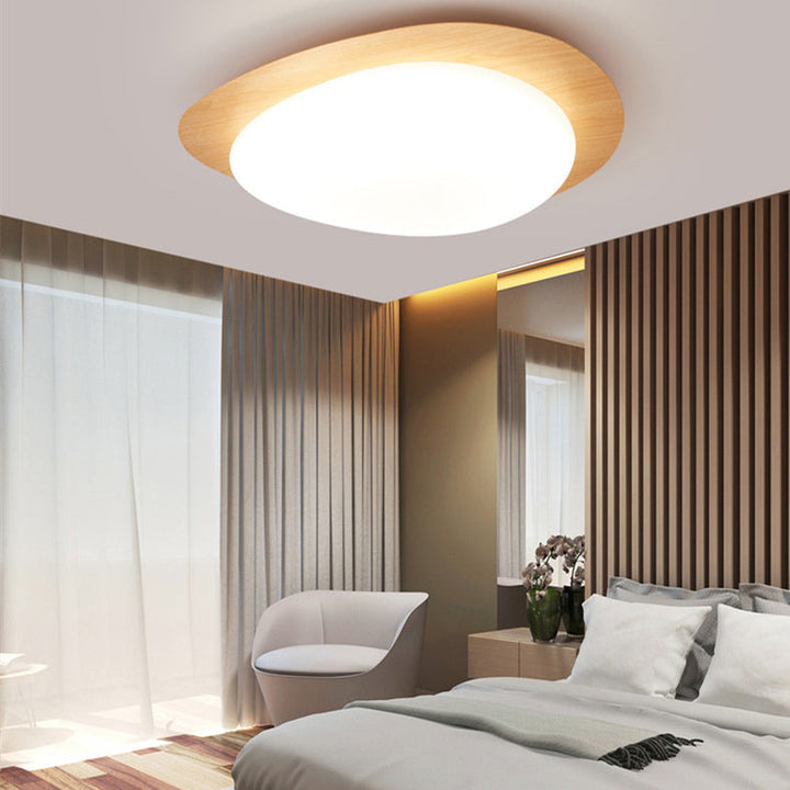Nordic Acrylic LED Flush Mount Ceiling Light