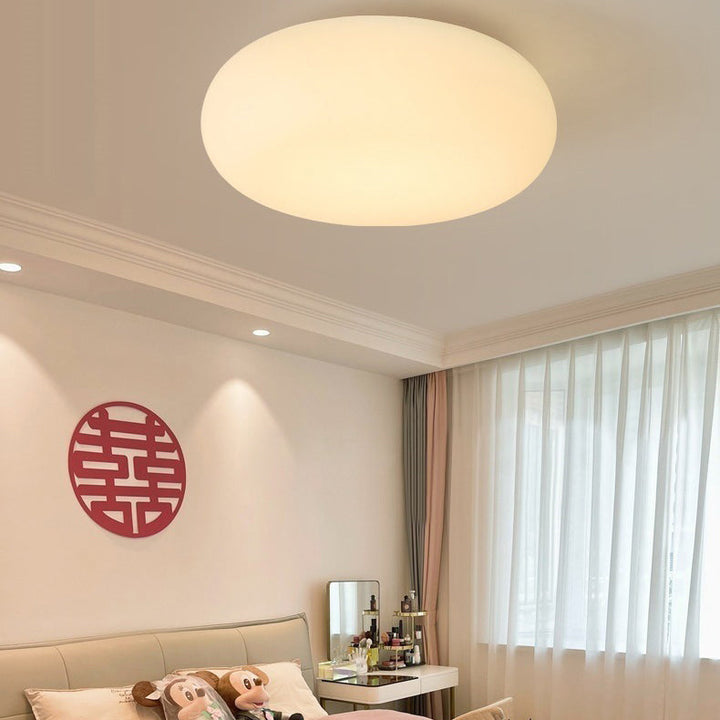 Minimalist Oval Iron LED Flush Mount Ceiling Light