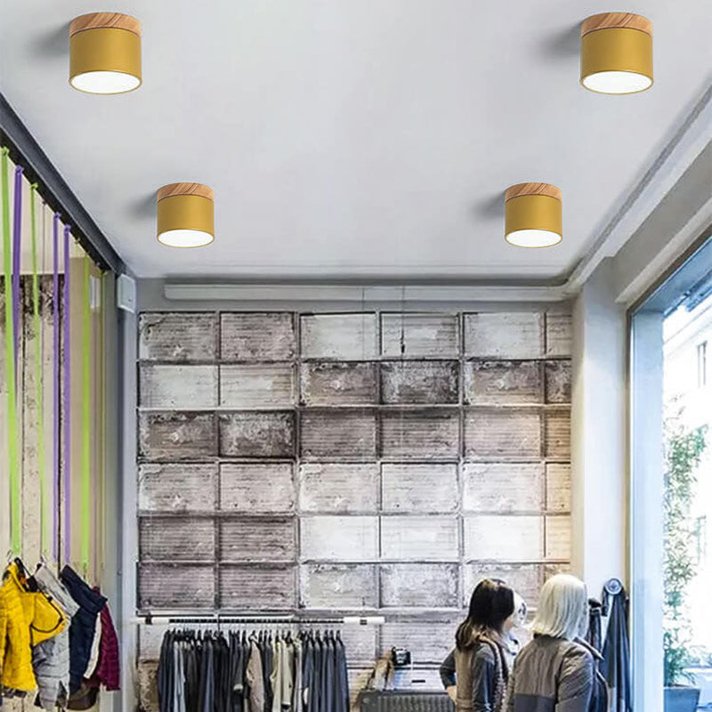 Nordic LED Flush Mount Ceiling Light