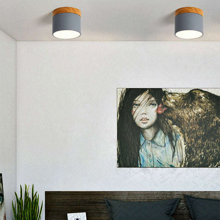 Nordic LED Flush Mount Ceiling Light
