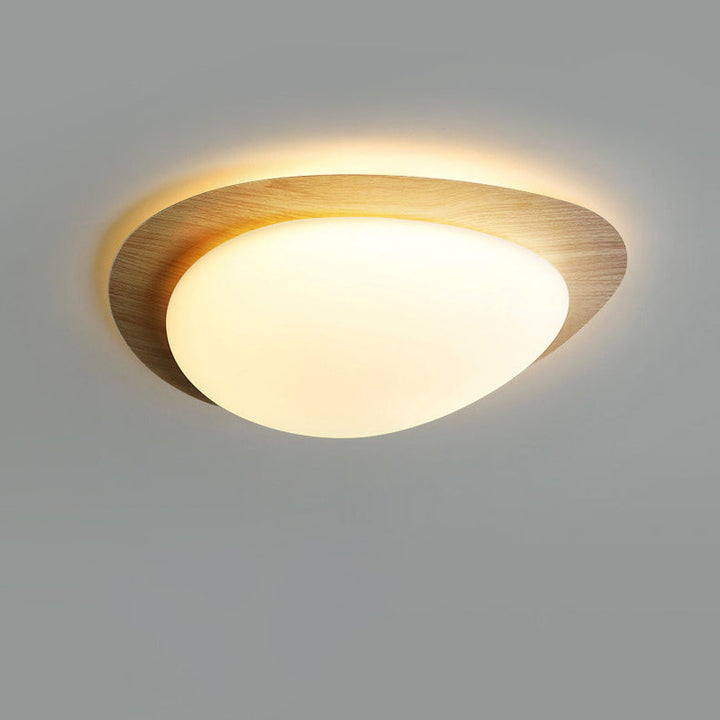 Nordic Acrylic LED Flush Mount Ceiling Light