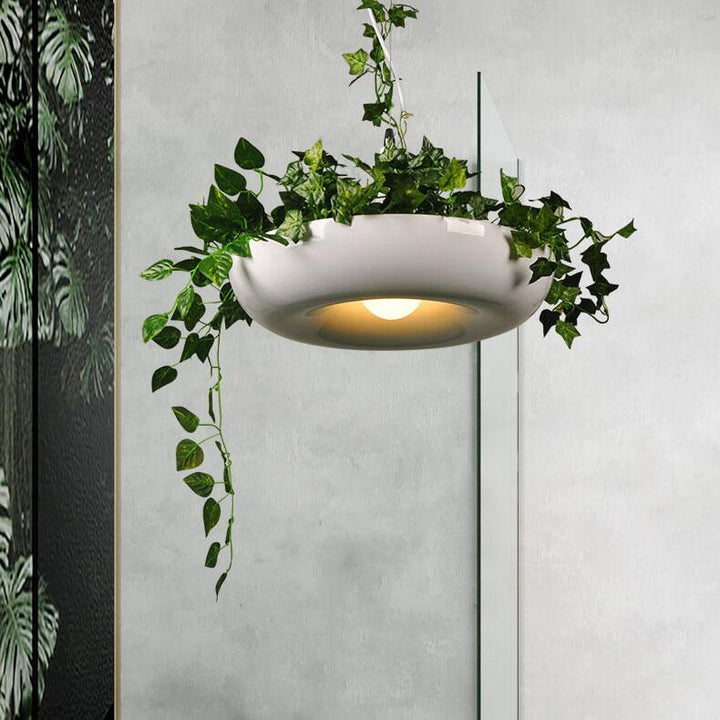 Refreshing Modern Pendant Light