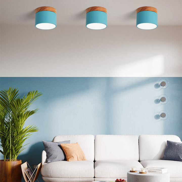 Nordic LED Flush Mount Ceiling Light