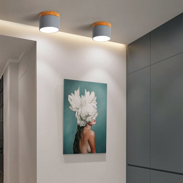 Nordic LED Flush Mount Ceiling Light
