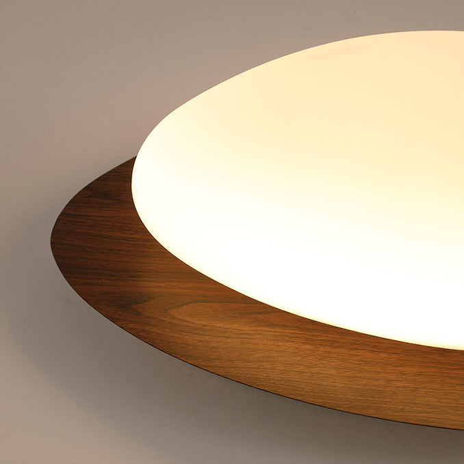 Nordic Acrylic LED Flush Mount Ceiling Light