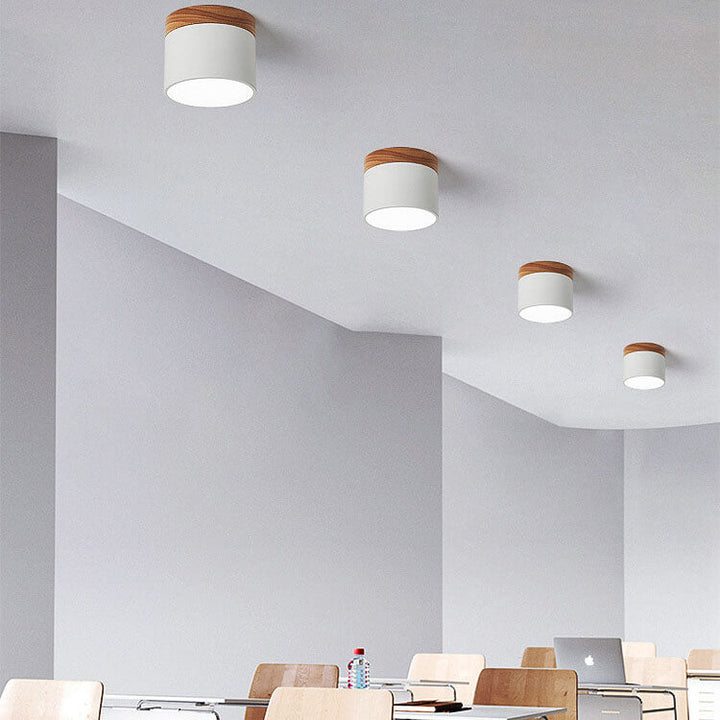 Nordic LED Flush Mount Ceiling Light