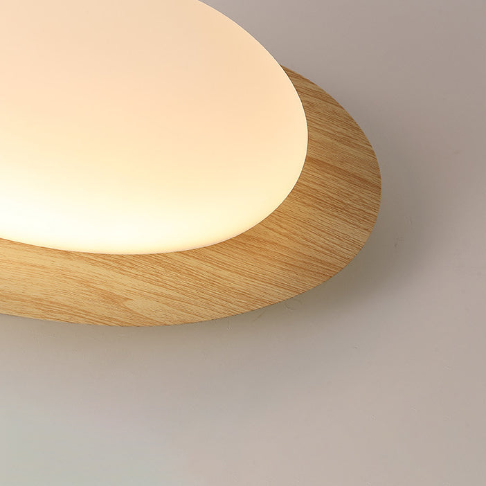 Nordic Acrylic LED Flush Mount Ceiling Light