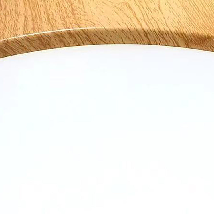 Nordic Round Iron LED Flush Mount Ceiling Light