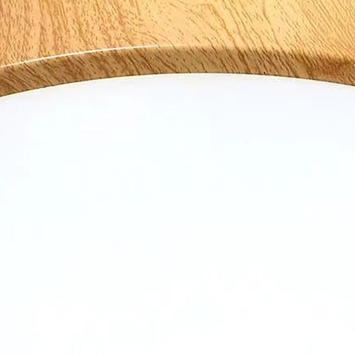 Nordic Round Iron LED Flush Mount Ceiling Light