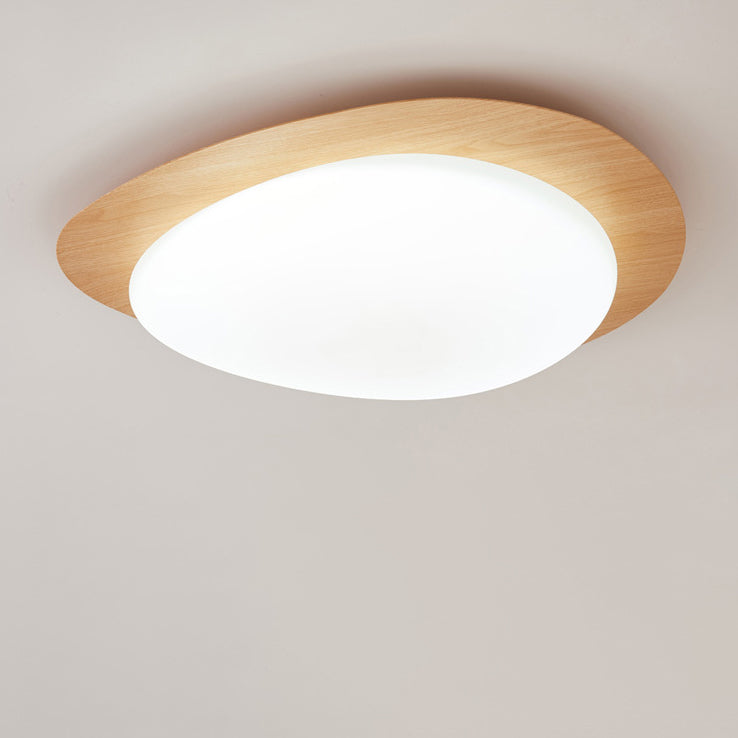 Nordic Acrylic LED Flush Mount Ceiling Light