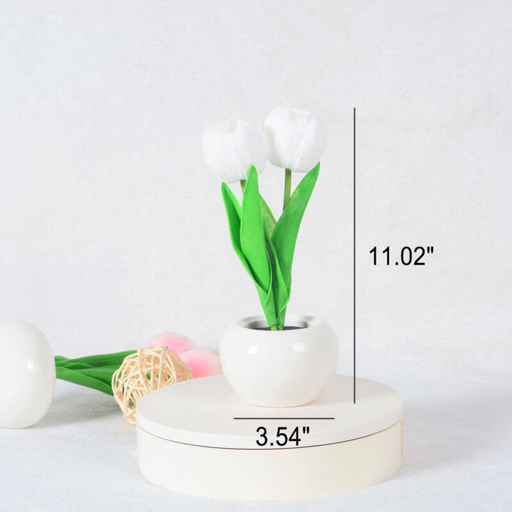 Modern LED Table Lamp