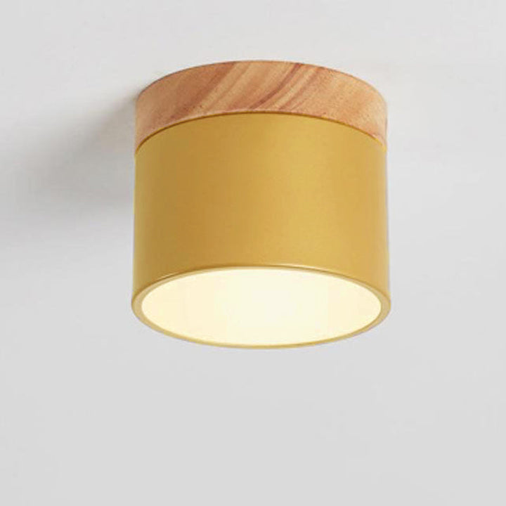 Nordic LED Flush Mount Ceiling Light