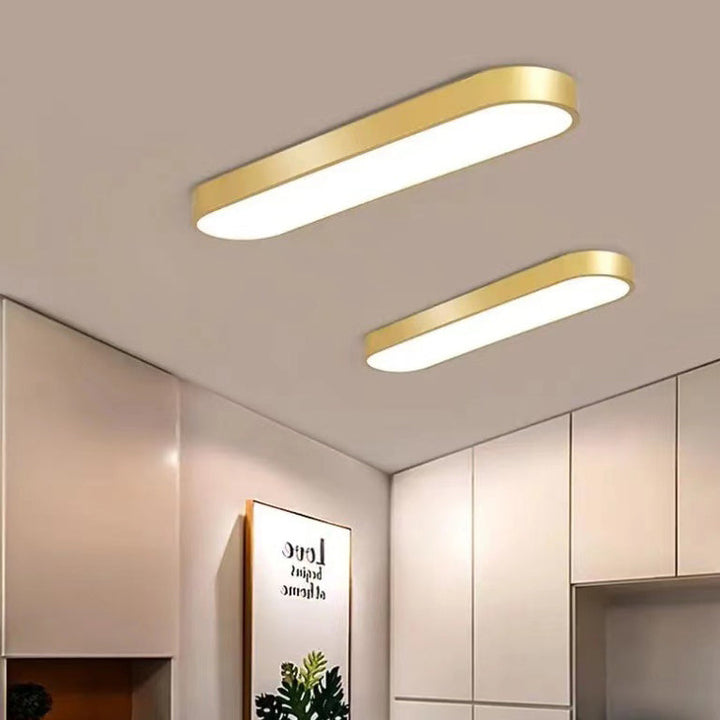 Elliptical Minimalist Acrylic LED Flush Mount Ceiling Light