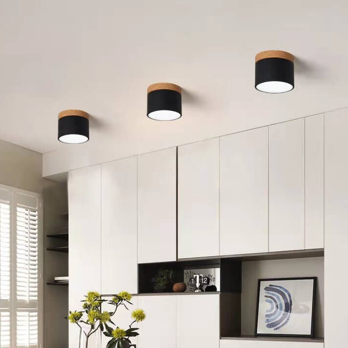 Nordic LED Flush Mount Ceiling Light