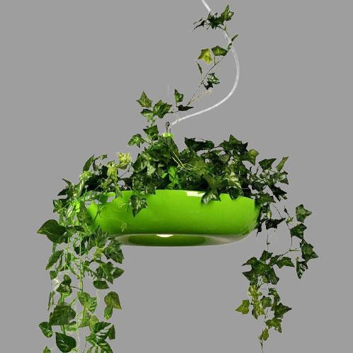 Refreshing Modern Pendant Light