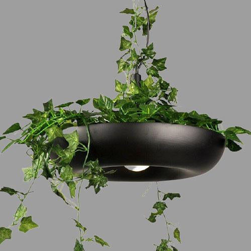Refreshing Modern Pendant Light