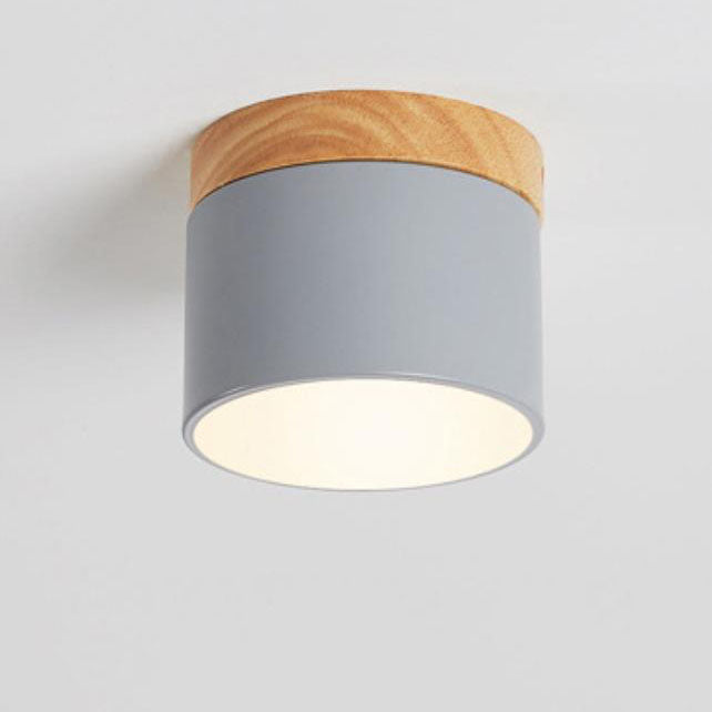 Nordic LED Flush Mount Ceiling Light