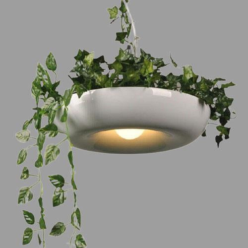 Refreshing Modern Pendant Light