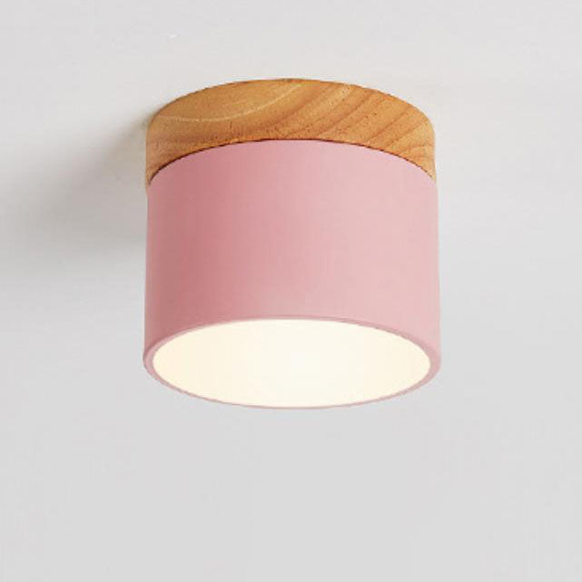 Nordic LED Flush Mount Ceiling Light