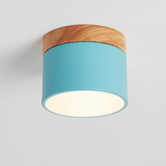 Nordic LED Flush Mount Ceiling Light