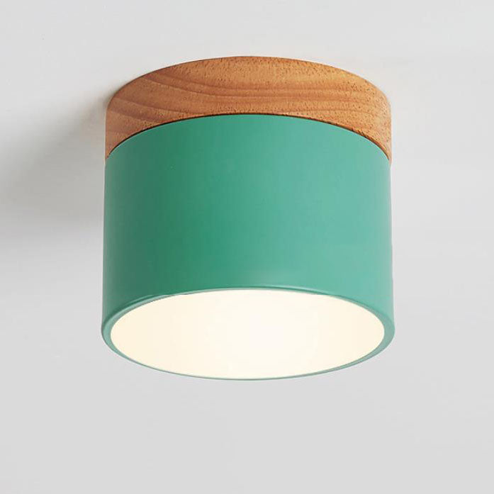 Nordic LED Flush Mount Ceiling Light