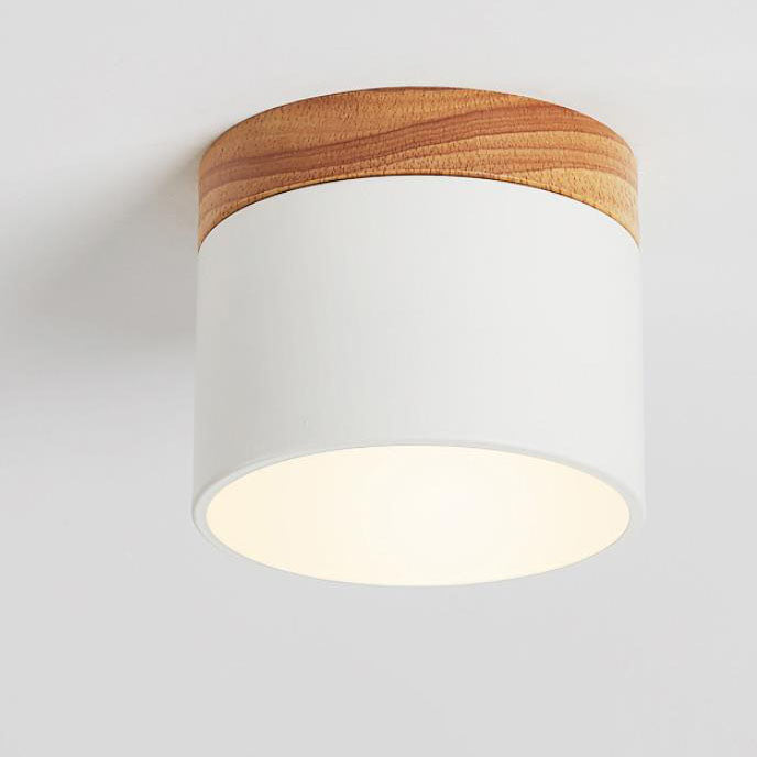 Nordic LED Flush Mount Ceiling Light