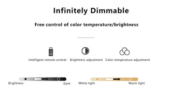 Double Minimalist LED Flush Mount Ceiling Light