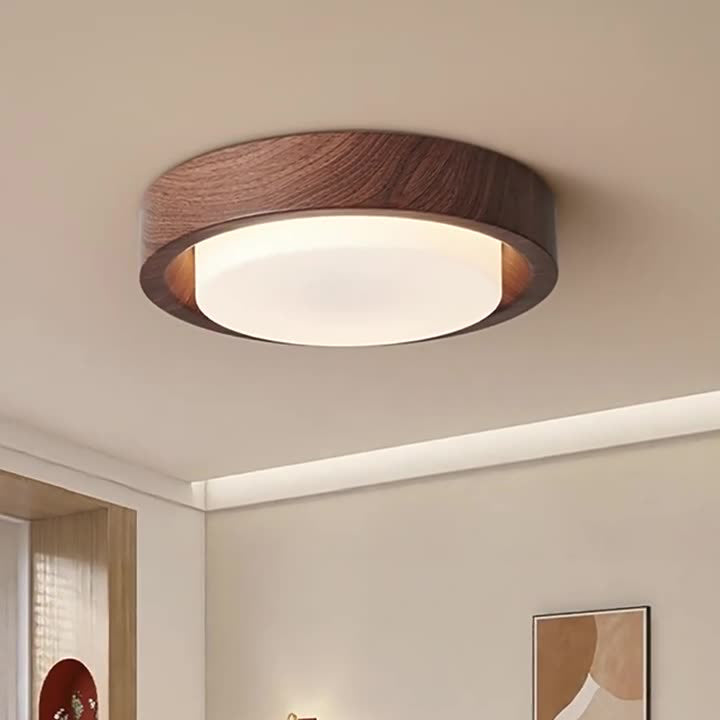 Contemporary Round Glass LED Flush Mount Ceiling Light