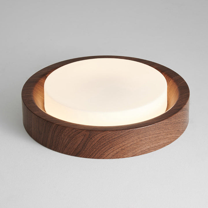 Contemporary Round Glass LED Flush Mount Ceiling Light
