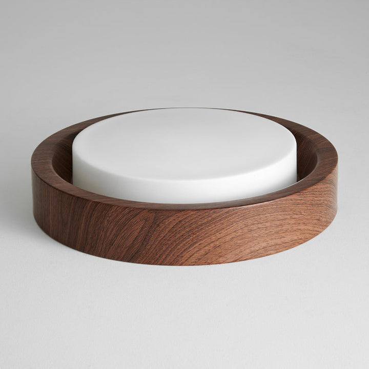 Contemporary Round Glass LED Flush Mount Ceiling Light