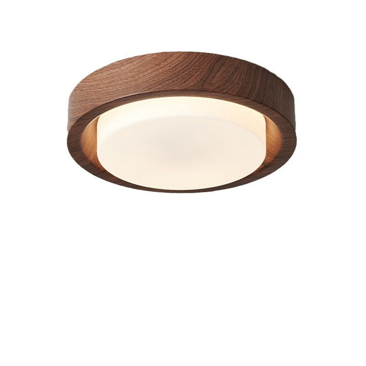Contemporary Round Glass LED Flush Mount Ceiling Light