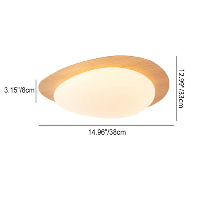 Nordic Acrylic LED Flush Mount Ceiling Light