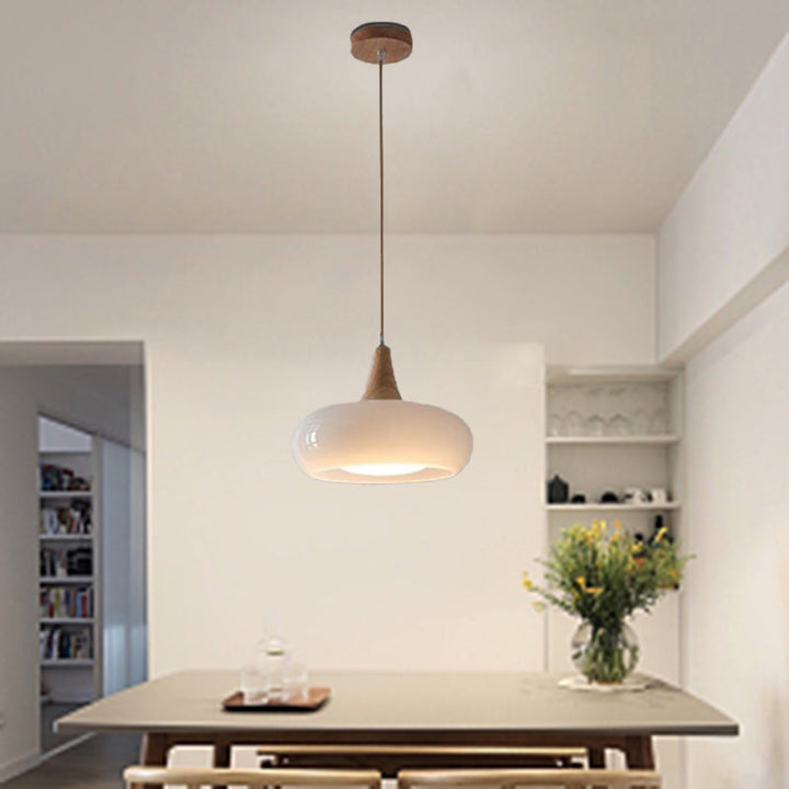 Contemporary Glass Pendant Light
